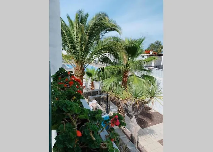 Beach And Relax Las Americas 美洲海滩