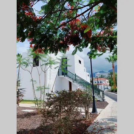 Beach And Relax Las Americas Appartement